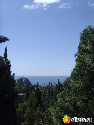 9 ����: ��� ����