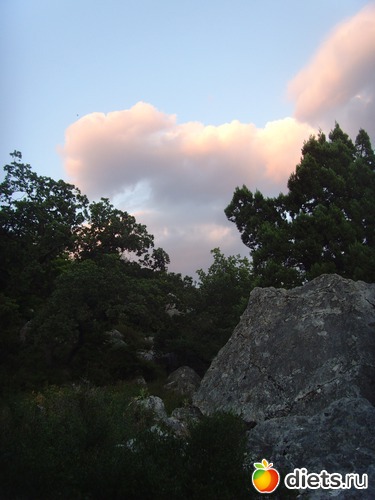 2 ����: ��� ����