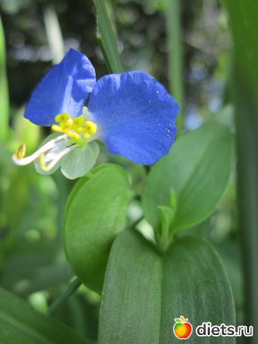 64 ����: ����