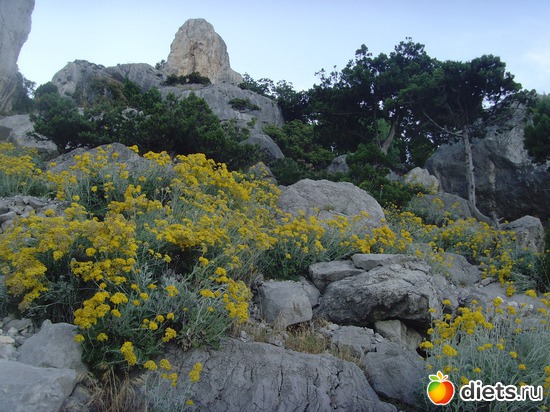 3 ����: ��� ����