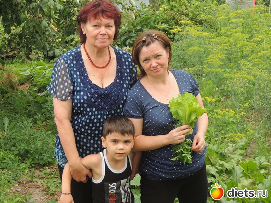 3 ����: ���� 2013 ������