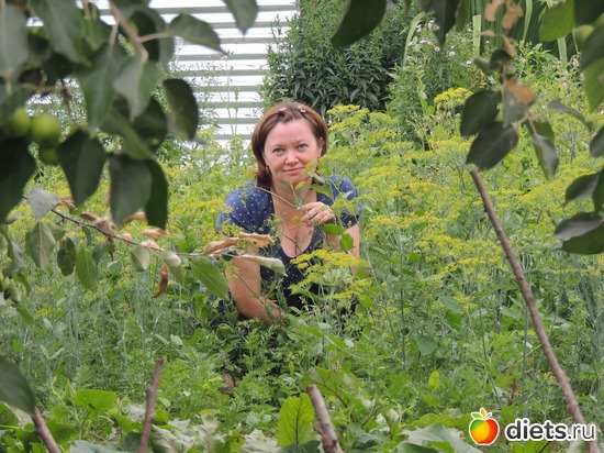 4 ����: ���� 2013 ������