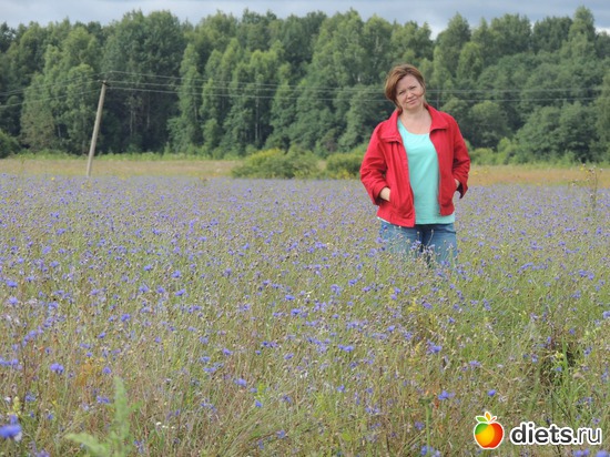 6 ����: ���� 2013 ������