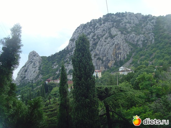 5 ����: ��� ����