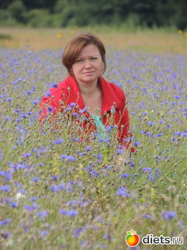 7 ����: ���� 2013 ������