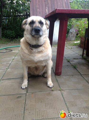 ����� ����������:), ������: �������� �������:)