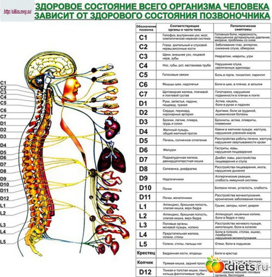 16 ����: ��� �����