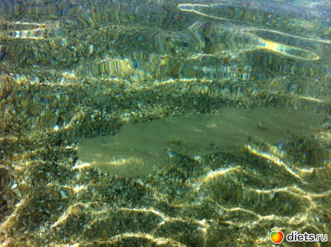 9 фото: Халкидики 2013