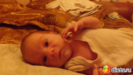 ����� ���� �����. ��� 21 ����., ������: ��� �����