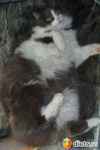 2 ����: ��� ����