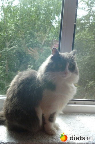 4 ����: ��� ����