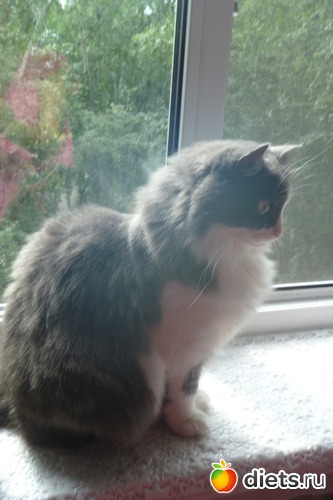 5 ����: ��� ����