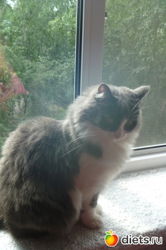 6 ����: ��� ����