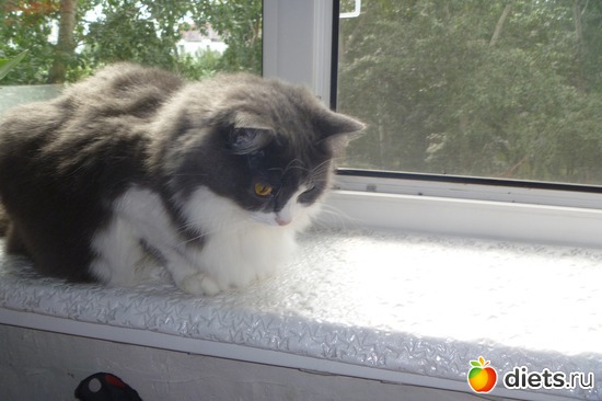 7 ����: ��� ����