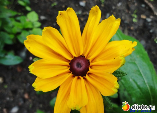 78 ����: ����� � ����-�������� ����!