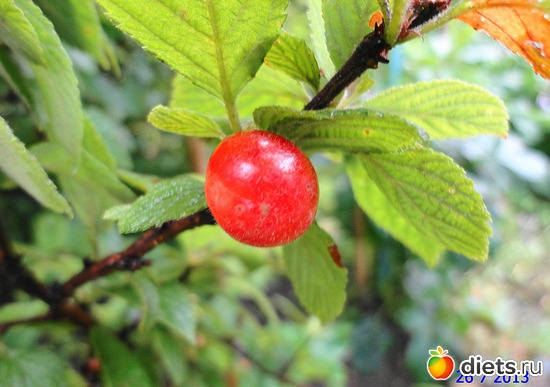 79 ����: ����� � ����-�������� ����!