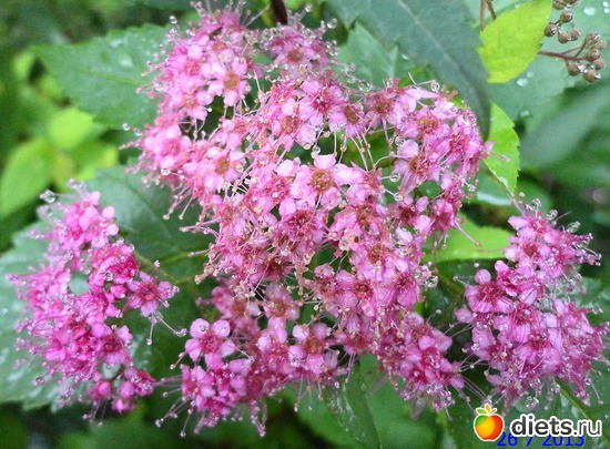 80 ����: ����� � ����-�������� ����!