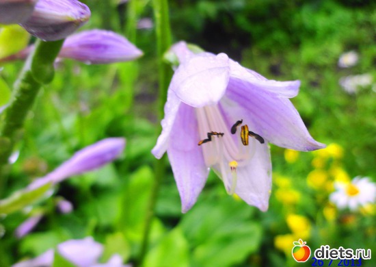 81 ����: ����� � ����-�������� ����!