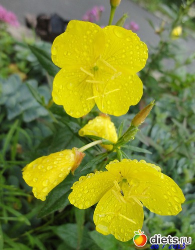 82 ����: ����� � ����-�������� ����!