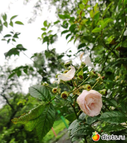 84 ����: ����� � ����-�������� ����!