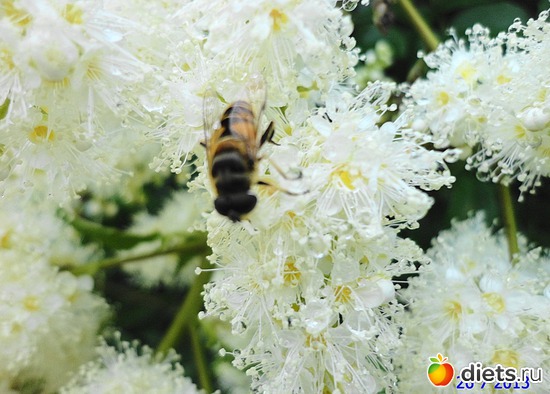 86 ����: ����� � ����-�������� ����!