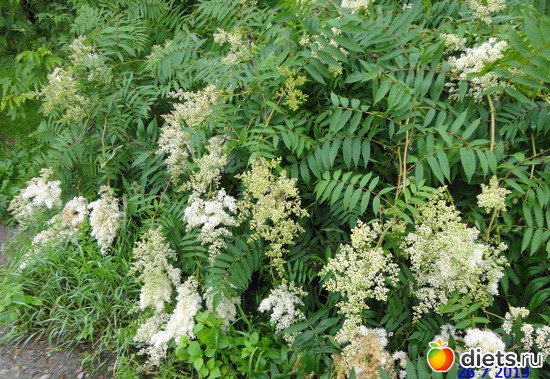 88 ����: ����� � ����-�������� ����!