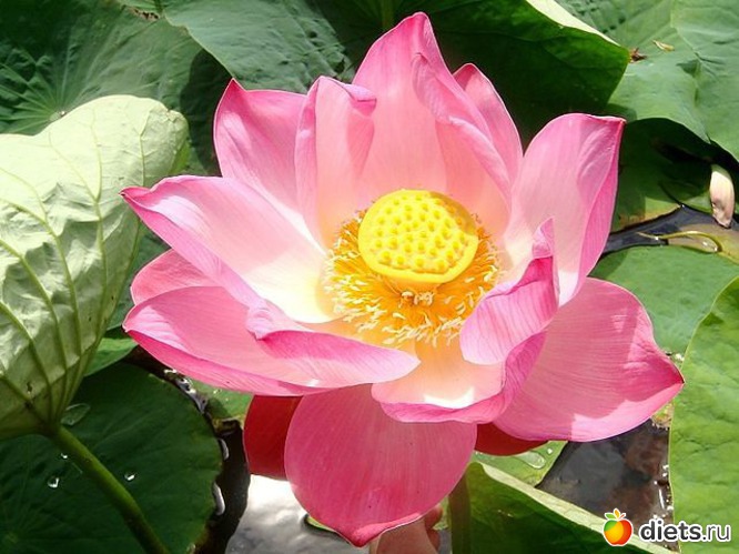 89 ����: ����� � ����-�������� ����!