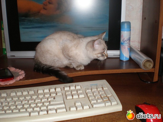 22 ����: �����