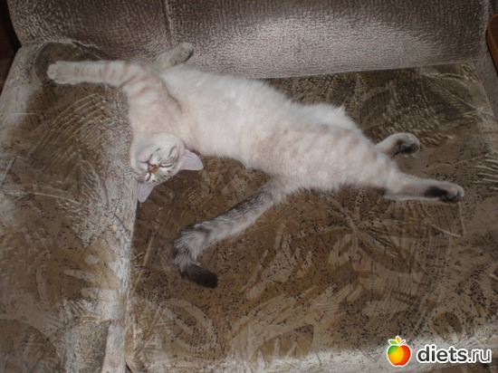 23 ����: �����