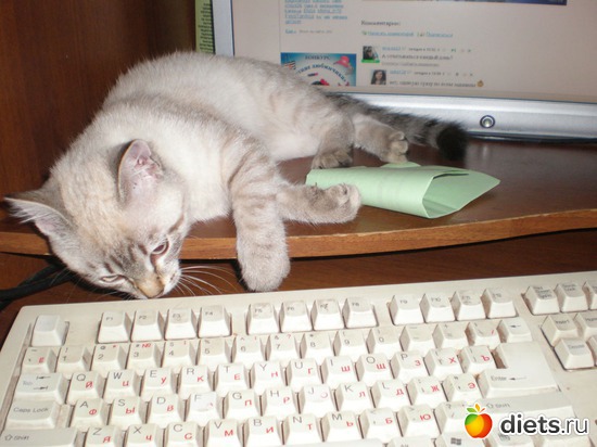 24 ����: �����