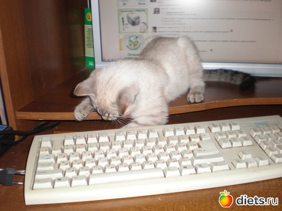 25 ����: �����