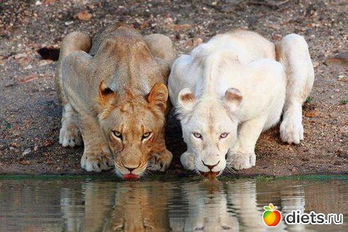 �� � ����� ����� �����