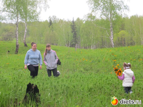 ��� 2013�, ������: ����� ����� ���������-������������� ����������