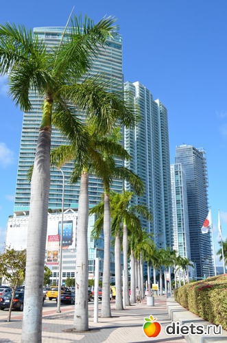 ������, ����� ������, ������: ��� �������