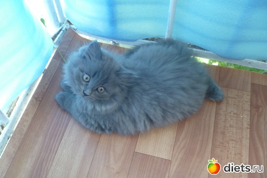 5 ����: ������ ��� �����