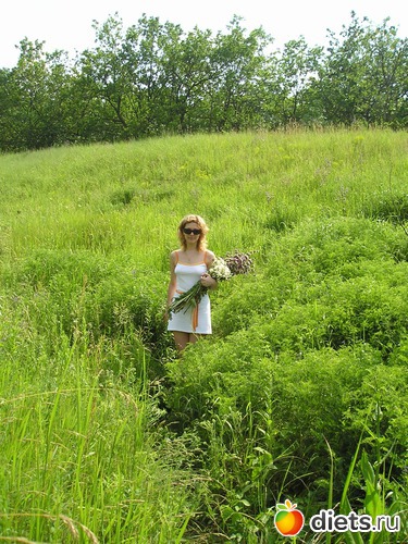 3 ����: �������� � ����)