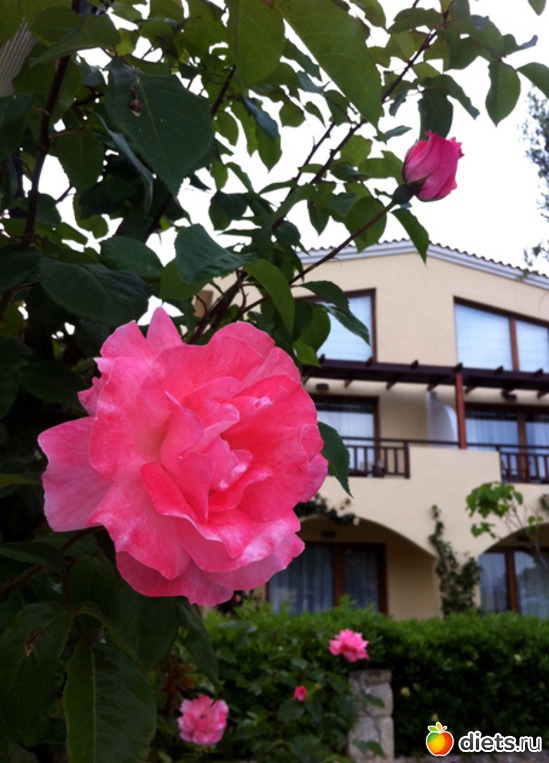 64 фото: Халкидики 2013