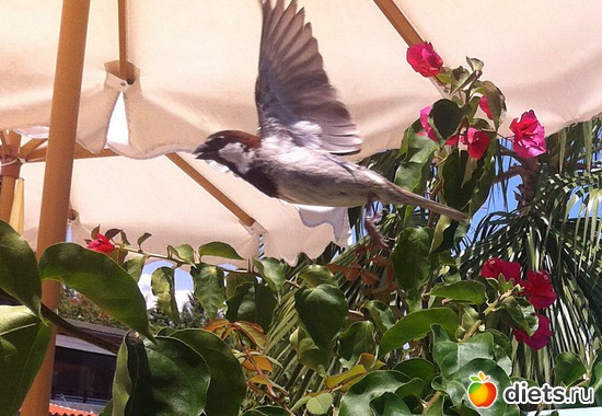 67 фото: Халкидики 2013