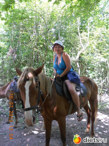 14 ����: ����� 2013