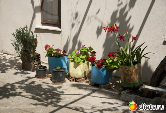 95 фото: Халкидики 2013