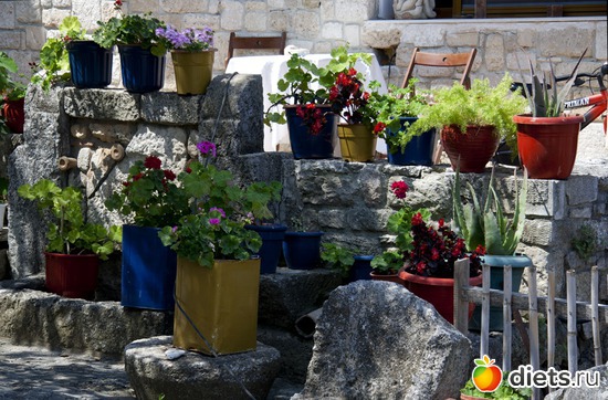 96 фото: Халкидики 2013