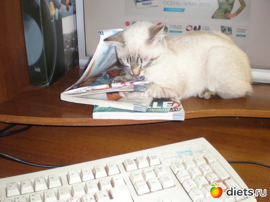 26 ����: �����