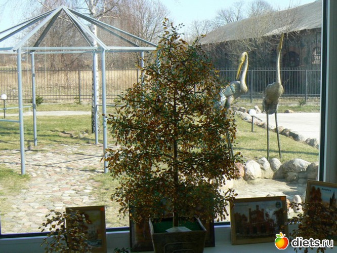 29 фото: "Янтарь"