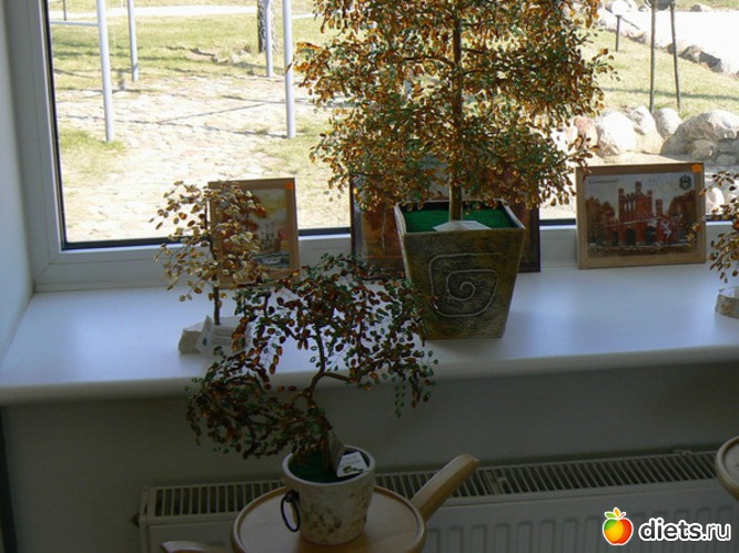 30 фото: "Янтарь"