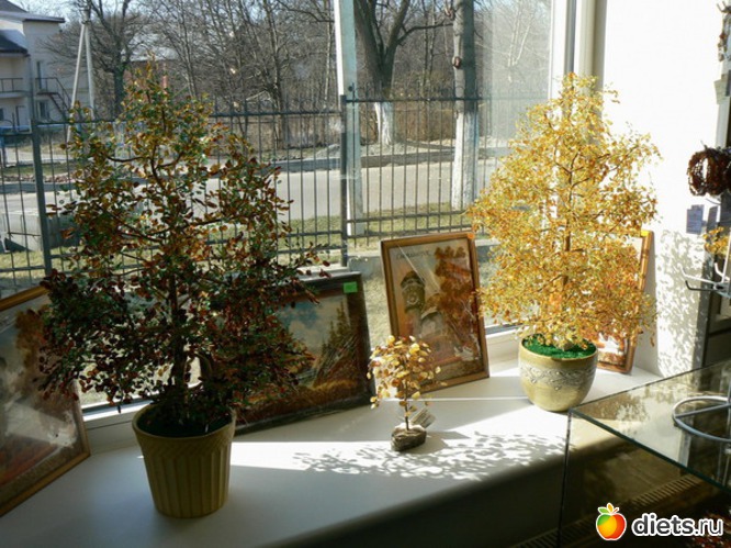 41 фото: "Янтарь"