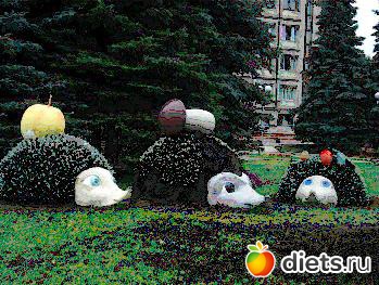 ��� ��� �� � �����