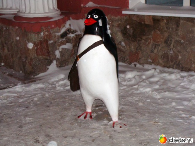 12 ����: ��� ��� �� � �����