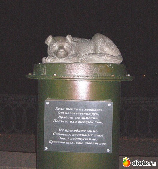 14 ����: ��� ��� �� � �����