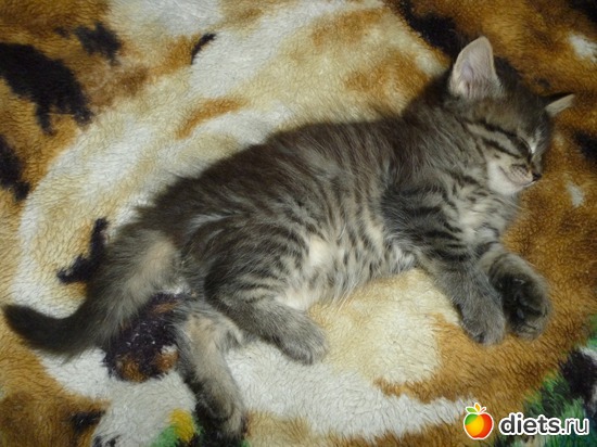 38 фото: Мои мальчишки