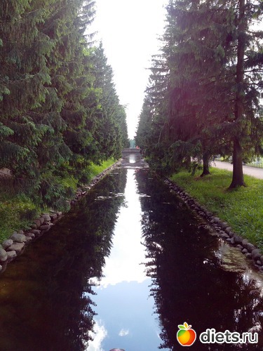 1 ����: �������������� ������. ������� ����.